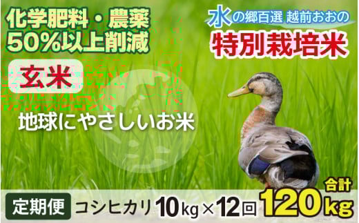 【令和7年産 新米】【12ヶ月定期便】こしひかり 10kg × 12回 計 120kg【玄米】減農薬・減化学肥料 「特別栽培米」－地球にやさしいお米－