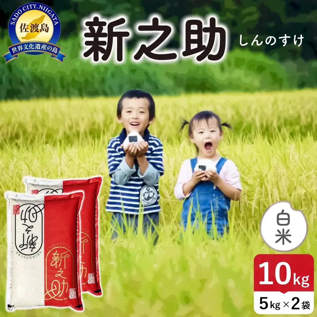 令和8年産 佐渡島産 新之助 白米10kg