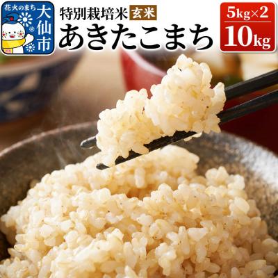 ふるさと納税 大仙市 米 令和7年産【特別栽培米】あきたこまち【玄米】10kg(5kg×2)|22_oks-121001