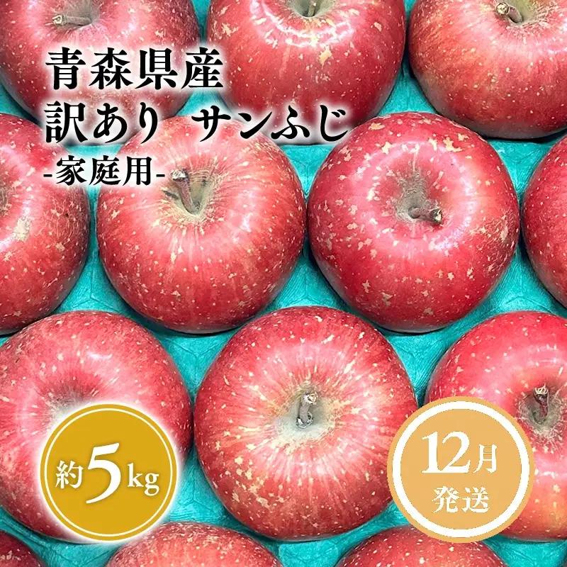 りんご サンふじ 家庭用 約5kg りんご