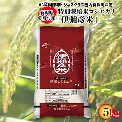 ふるさと納税 弥彦村 令和7年産特別栽培米コシヒカリ「伊彌彦米」5kg