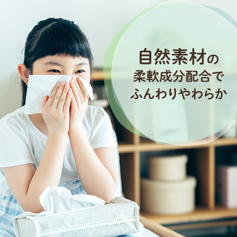 エリエール ハーフサイズ 収納に便利 コンパクト 少量5パック [アソートX] 北海道ティシュー 300組 5箱×5パック 計25箱 なまらたっぷり 大容量  防災 常備品 備蓄品 消耗品 日用品 生