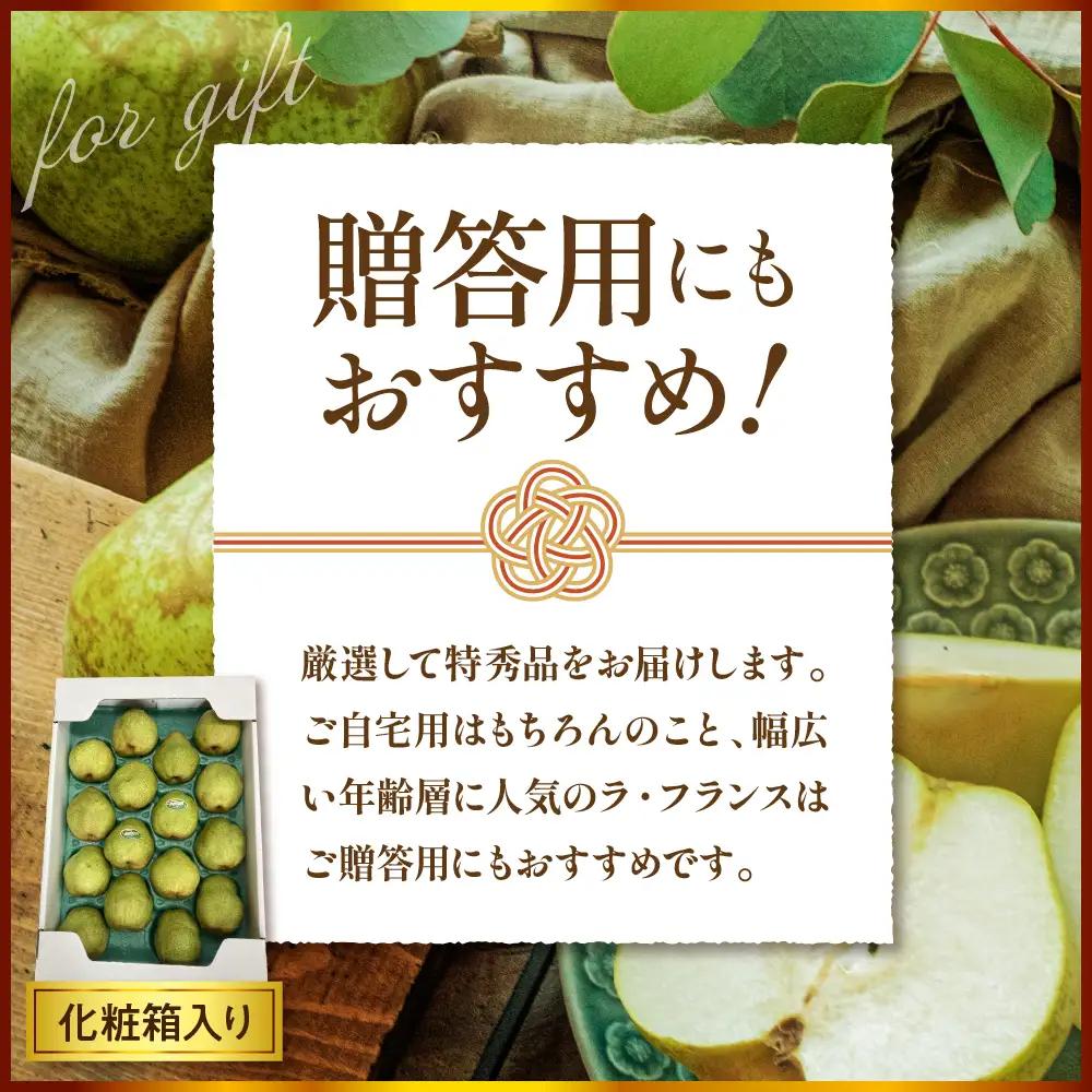 洋梨 ラフランス 5kg 特秀 令和8年産 洋梨 ラフランス