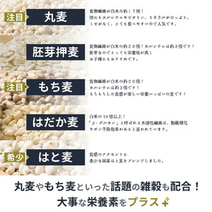 国産麦5種ブレンド 8kg(400g×20袋)