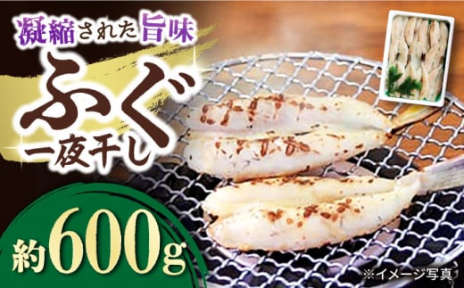 ふぐ 一夜干し 600g / ふぐ フグ 一夜干し 河豚 干物 ひもの / 大村市 / 株式会社ナガスイ[ACYQ012]