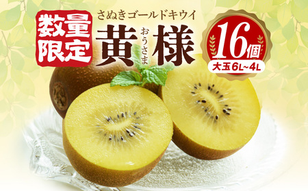 【ふるさと納税】【10月中旬より】さぬきゴールドキウイ「黄様」16個入り【数量限定】