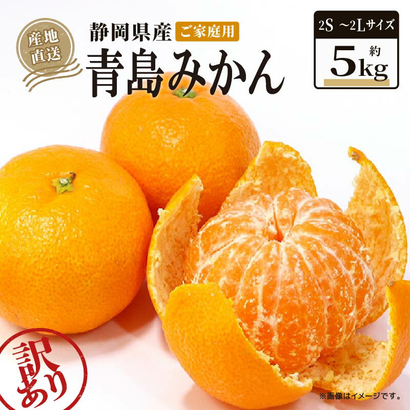 【ふるさと納税】 【2026年1月上旬から順次発送】 訳あり 青島 みかん 5kg 家庭用 青島みかん 果物 国産 フルーツ 柑橘 蜜柑 期間限定 季節限定 訳あり品 大きさ 不揃い ミカン 静岡県 藤枝市