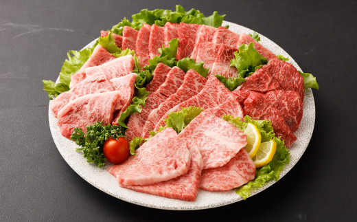 
博多和牛 焼肉 食べ比べ セット ( 6種盛り ) 合計約600g ロース バラ 赤身 希少部位 国産 冷凍
