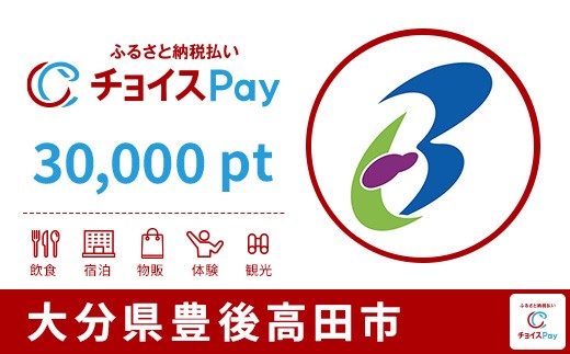 
                  豊後高田市チョイスPay 30,000pt【会員限定のお礼の品】
                
