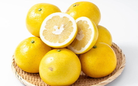 ＜期間限定＞磯部農園のサワーポメロ8kg箱バラ詰め（12玉～22玉）【A-1846H】