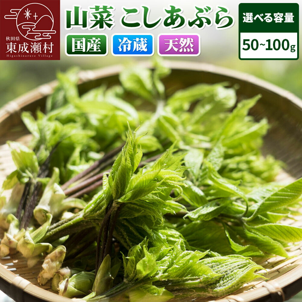 【ふるさと納税】山菜 こしあぶら 【選べる容量50g〜100g】 秋田県 東成瀬村産 TAKAYA [山菜 国産 コシアブラ 天然 冷蔵]