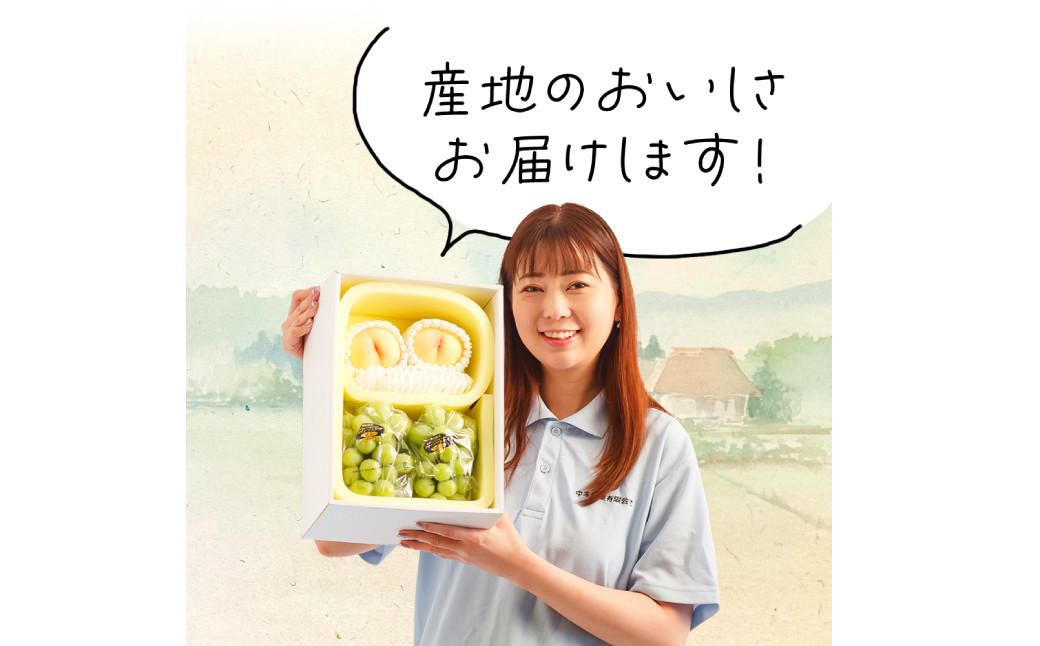 岡山県産 詰合せ/白桃2玉とシャインマスカット『晴王』2房 化粧箱入り