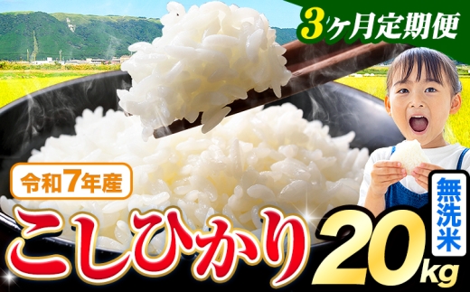 【3ヶ月定期便】令和7年産  無洗米 こしひかり 20kg(5kg×4袋)《お申込み翌月出荷》熊本県産 ふるさと納税 無洗米 精米 ひの 米 こめ ふるさとのうぜい コシヒカリ コメ お米 おこめ