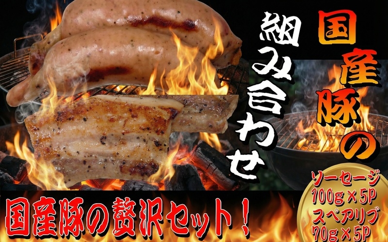 
                  国産豚スペアリブと国産豚骨付きソーセージセット /  和牛 牛 肉 豚 豚肉 国産 国産豚 国産牛 焼肉【ttru029】
                