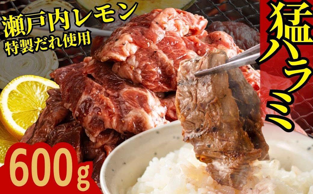 
            牛ハラミ 600g(300g×2パック)  尾野精肉店の牛ハラミ瀬戸内レモン塩だれ ｜ 肉 訳あり 小分け 真空パック 冷凍 牛肉 ハラミ 瀬戸内 レモン 塩ダレ 広島県 竹原市　※離島への配送不可
          