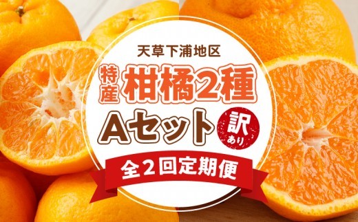 
                  S040-T05A_【定期便2回】　天草　下浦特産の柑橘2種Ａセット（訳あり）【先行受付】
                