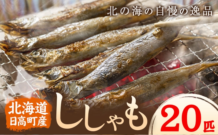 
                  シシャモ 20匹 オス メス 石崎水産 《30日以内に出荷予定(土日祝除く)》 北海道 日高町 ししゃも シシャモ 本ししゃも 北海道産ししゃも 子持ちししゃも おつまみ 晩酌 ご飯のお供 送料無料
                