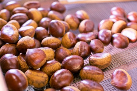 【2025年10月中旬より発送】生粋丹波栗　巻次のくり　中 L　1.0ｋｇ | 兵庫県 丹波篠山市 プレミアム栗 期間限定 お取り寄せグルメ 高級 特産品 名産品 マロン 関西 西日本 GDT005