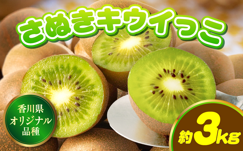 【先行受付】香川県オリジナルキウイフルーツ「さぬきキウイっこ」約3kg【香川県共通返礼品】  キウイ キウイフルーツ 果物 フルーツ 青果 青果物 さぬきキウイっこ 果実 贈答 贈り物 ギフト 甘い 糖度が高い 季節のフルーツ 旬 おすすめ 香川県 三木町 mk006-065