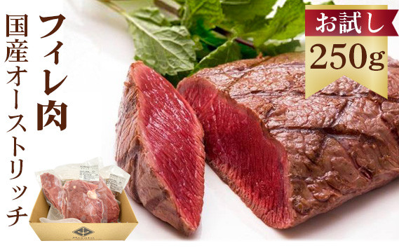 
国産オーストリッチお試しフィレ肉250g [No.023]
