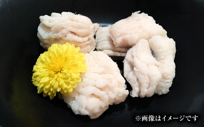 活きハモの骨切り 2人前（約500g）