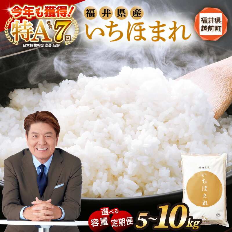 【ふるさと納税】お米 いちほまれ 5kg 10kg 特A 通算7回！ 令和6年産 令和7年産 選べる 内容量 新米 予約 定期便 1回 3回 6回 12回 福井県産 米 コメ kome 5キロ 10キロ 3ヶ月 6ヶ月 12ヶ月 精米 白米 aj【令和6年産 14日前後発送】【令和7年産 10月以降発送】 [e27-sku001]