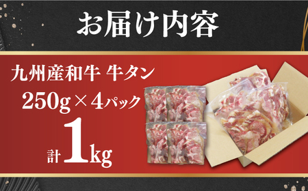 【先行予約】【塩だれ】九州産和牛の牛タン 約1kg（約250g×4パック）国産 牛 タン たん 和牛＜岩永ホルモン＞ [EAX080] / タン 牛たん 牛タン 薄切り タン 牛たん 牛タン 味付き 