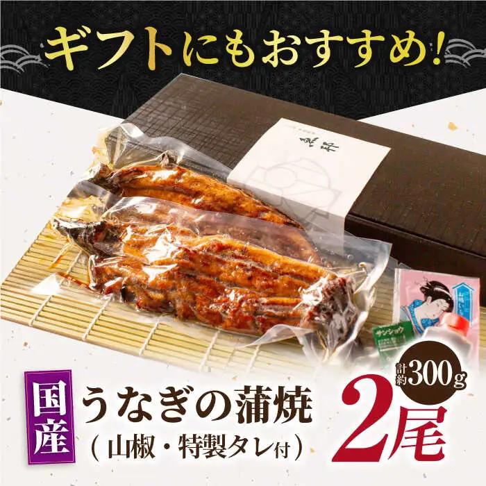 うなぎ蒲焼 2尾  [AVBH005]うなぎかば焼き