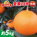 【ふるさと納税】 愛果28号 5kg 完熟みかん 家庭用 南予ファーム 高級 ブランド 愛媛県産 限定 品種 完熟蜜柑 愛媛みかん 愛媛蜜柑 愛媛ミカン みかん mikan 甘い ゼリー プルプル 果物 くだもの フルーツ 柑橘 農家直送 産地直送 数量限定 国産 愛媛 宇和島 B025-082001