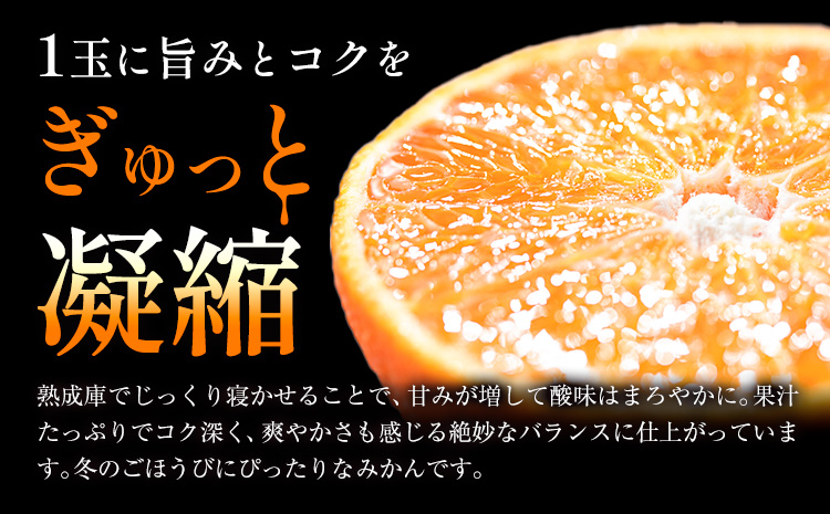 【先行予約】蔵出し熟成みかん『極』 2箱 《2月中旬-2月末頃出荷予定》みかん ミカン 蜜柑 mikan 貯蔵 温州 うんしゅう 晩成 柑橘 佐那河内 さなごうち 徳島県 箱入り 化粧箱 S M L 