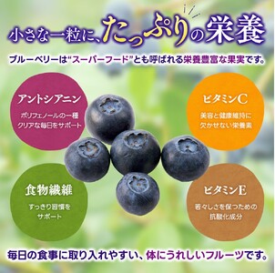 冷凍 ブルーベリー 3kg  金山パイロットファーム ベリー【knpr0011A】