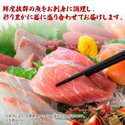 ふるさと納税 田野町 【四国一小さなまち】土佐のお刺身盛り合わせ　3〜4人前程度 ★冷蔵★ |  | 02