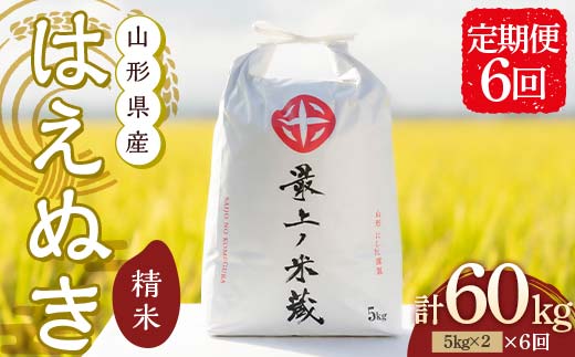 令和7年産 先行予約 ＜定期便 6回＞ 山形県産 はえぬき 精米 10kg （5kg×2）【最上ノ米蔵】 F3S-2489