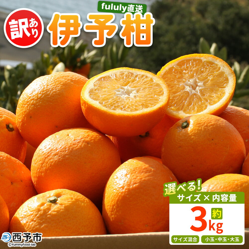 【ふるさと納税】＜fululy直送 伊予柑 訳あり 約3kg＞ 選べる ワケアリ サイズ混合 小玉 中玉 大玉 果物 フルーツ 蜜柑 いよかん イヨカン 柑橘 家庭用 合同会社fululy 直送 愛媛県 西予市【常温】『2026年1月中旬～2月上旬迄に順次出荷』