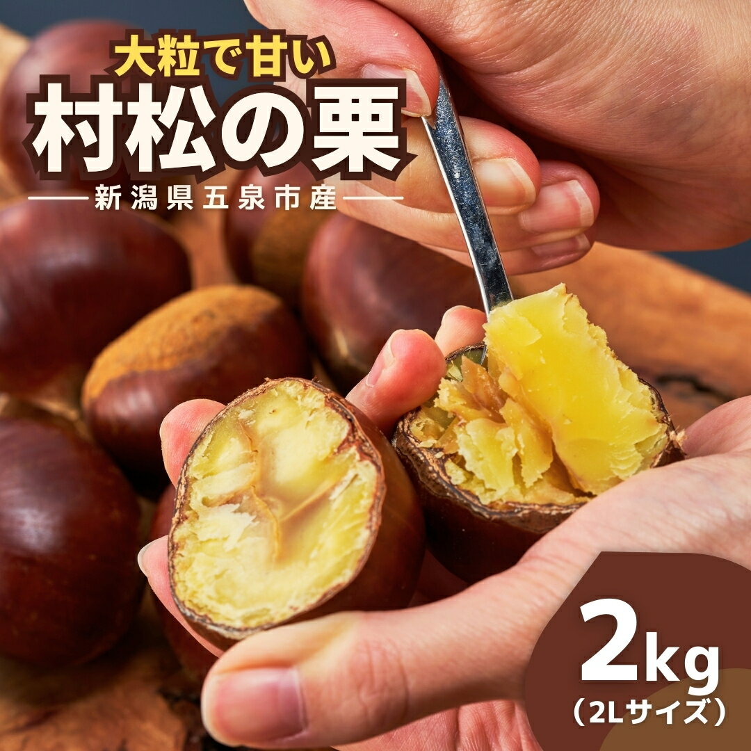 【ふるさと納税】【先行予約】越後村松の栗（2Lサイズ 2kg）国産 栗 くり 大きい 甘い 大玉 特産品 焼き栗 栗ご飯 生栗 スイーツ お菓子 和菓子 新潟県 五泉市 村松特産振興協議会栗部会 2025年10月中旬発送予定