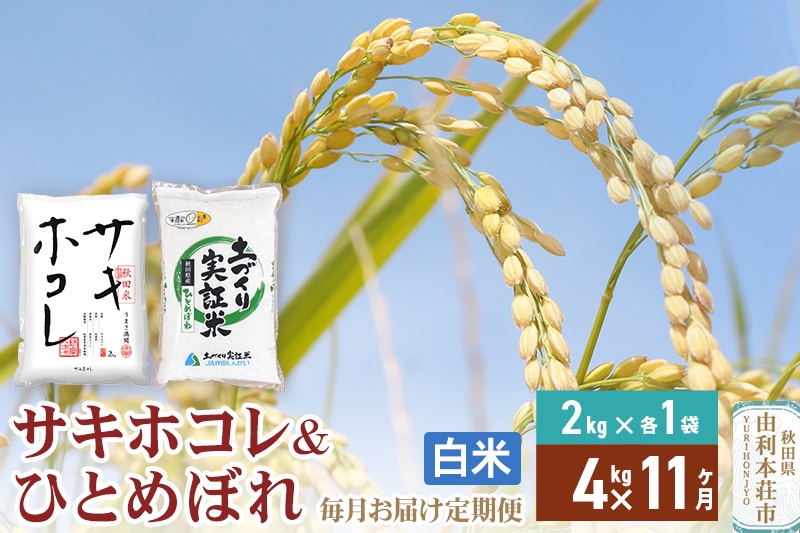 
                  《定期便11ヶ月》【白米】令和7年産 サキホコレ2kg・土づくり実証米ひとめぼれ2kg (計4kg) ×11回 計44kg 精米 特A評価米 秋田県産
                