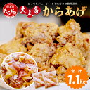 【ふるさと納税】村上精肉店 大人気の からあげ 1.1kg ( 550×2 ) 国内産 鶏 味付き ジューシー 手軽 冷凍 国産 お弁当 おかず 常備 ストック 便利 国産 カラアゲ 味付け 唐揚げ 大容量 送料無料