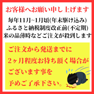CI308_【玄米】さがびより１０㎏（５㎏×２袋）【五つ星お米マイスター厳選！】