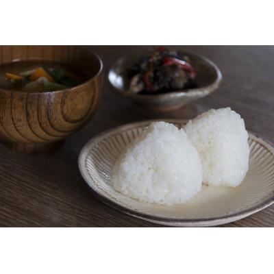 ふるさと納税 あさぎり町 令和6年産　熊本県産くまさんの輝き(白米)(10キロ) |  | 01