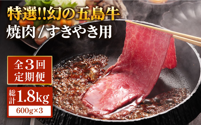 【全3回定期便】幻の五島牛（特選）焼肉・すき焼用600g  牛肉 牛 肉 BBQ 五島市/ニク勝 [PBF010]