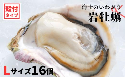 【のし付き】海士のいわがき 新鮮クリーミーな高級岩牡蠣 殻付きLサイズ×16個 お歳暮に