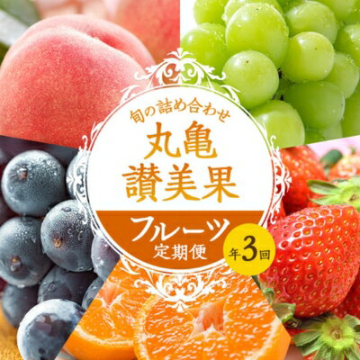 【ふるさと納税】 旬のフルーツ 定期便 3回 果実 フルーツ シャインマスカット マスカット ぶどう 葡萄 桃 モモ いちご 苺 ピオーネ みかん 蜜柑 柑橘 梨 キウイ はっさく デコポン せとか ふるさと納税定期便 ふるさと納税フルーツ 贈答 ギフト 送料無料 ふるさと納税