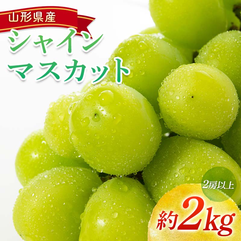 【ふるさと納税】 【令和8年産先行予約】 シャインマスカット 約2kg (2房以上) 《令和8年9月頃〜発送》 『南陽中央青果市場』 マスカット ぶどう 果物 フルーツ デザート 山形県 南陽市 [1205]