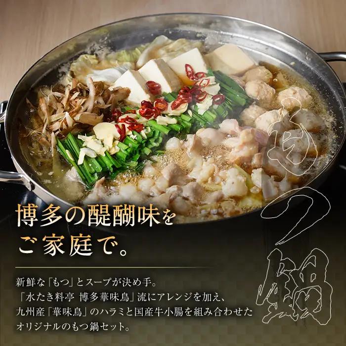 ＜先行予約受付中！2026年10月中に発送予定＞博多華味鳥 水たき・もつ鍋セット(6～8人前)モツ鍋 水炊き 鶏肉 鳥肉 とりにく 牛 ホルモン 鶏はらみ 鍋 スープ つくね ポン酢 ちゃんぽん麺 柚