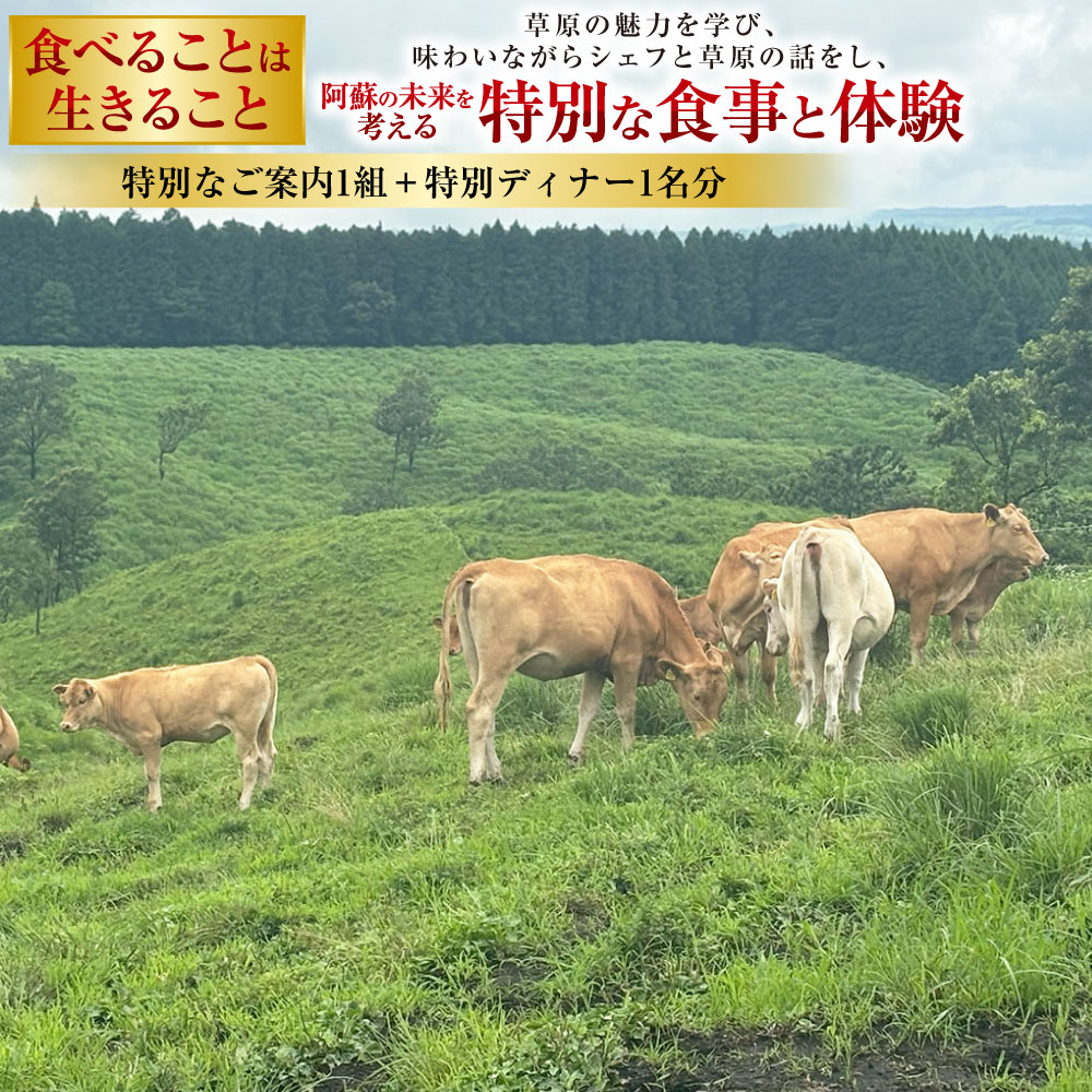 【ふるさと納税】～食べることは生きること～草原の魅力を学び、味わいながらシェフと草原の話をし、阿蘇の未来を考える特別な食事と体験 特別なご案内1組 ＋ 特別ディナー1名分 体験 チケット お食事券 九州 熊本県 送料無料
