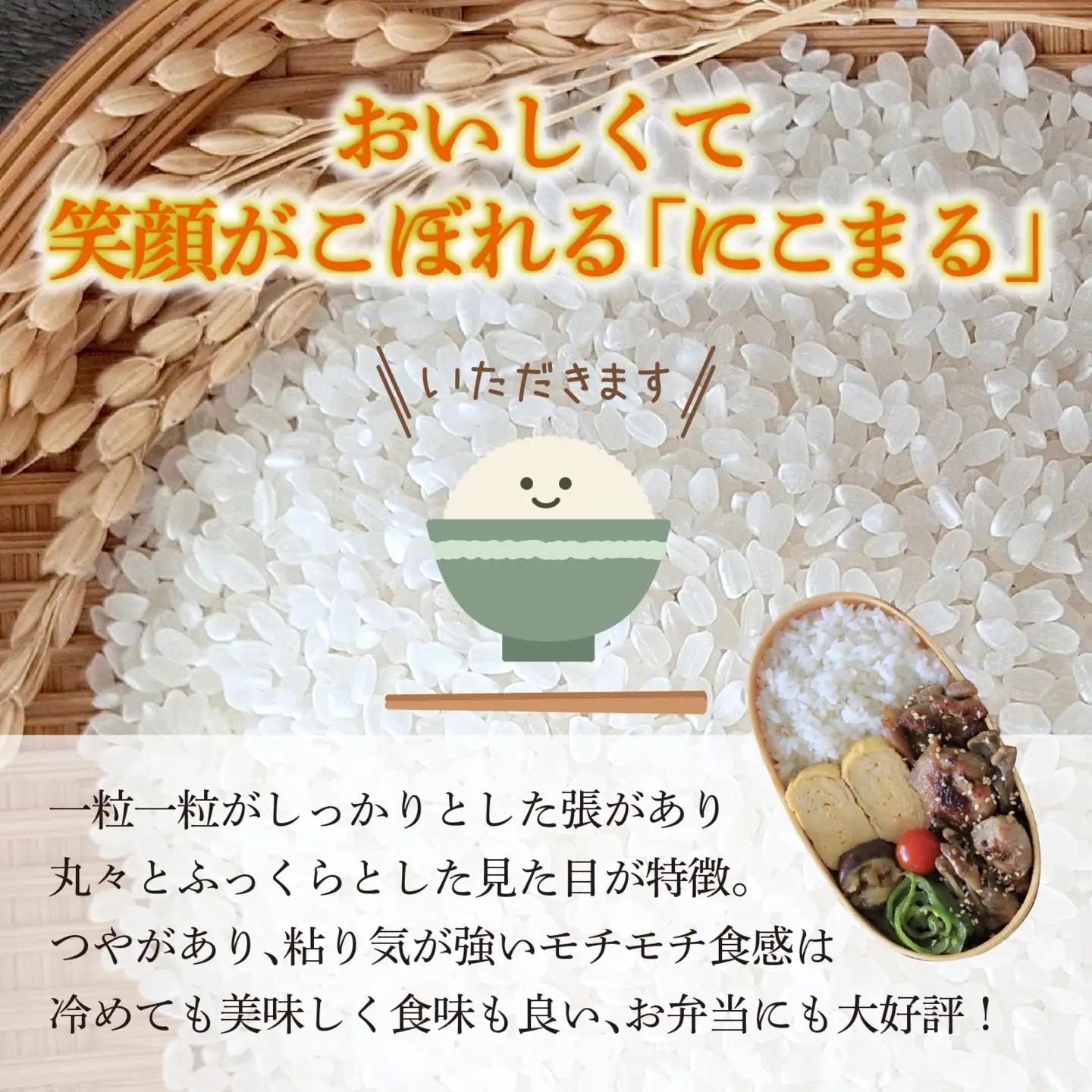 【令和8年産】  にこまる 10kg（5kg × 2袋） 【2026年11月配送】 |  にこまる 白米 新米