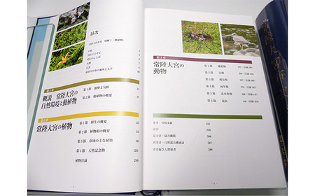 常陸大宮市史 別編2 自然 1冊 地形 地質 気象 【歴史】【ho1318】