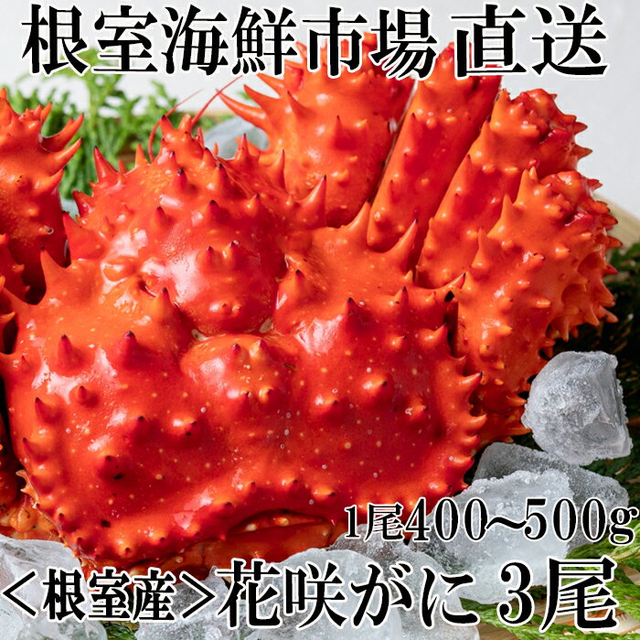 【ふるさと納税】 [北海道根室産] 花咲ガニ 400 ~ 500g × 3 尾 花咲がに 花咲 花咲かに 花咲蟹 かに カニ 蟹 お取り寄せ グルメ 海鮮 北海道 根室市 ふるさと納税 B-14122