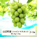 【ふるさと納税】 《先行予約》2024年 山形県山辺町産 特選シャインマスカット 2～3房セット（1.2～1.4kg） 2024年9月中旬から順次発送 F21A-238
