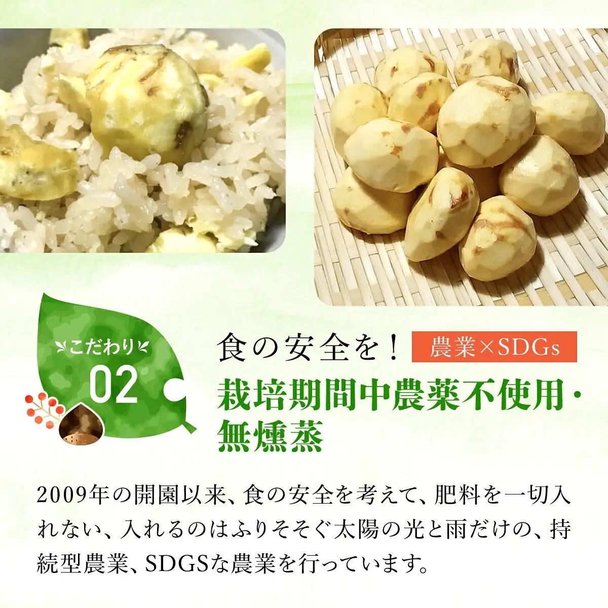 栗 くり 氷蔵 丹波栗 むき栗 筑波 2L 1kg